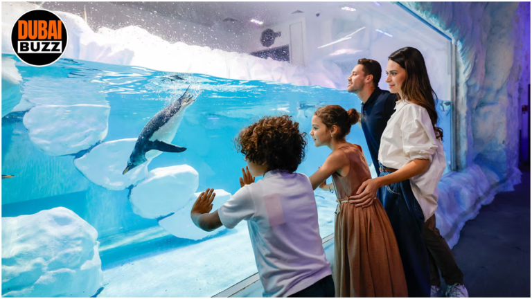 Free Things to Do in Dubai 12 Must-Try Experiences