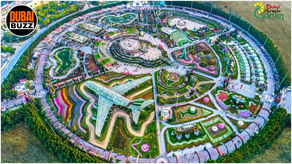 Dubai Miracle Garden Exploring the World’s Largest Natural Flower Garden